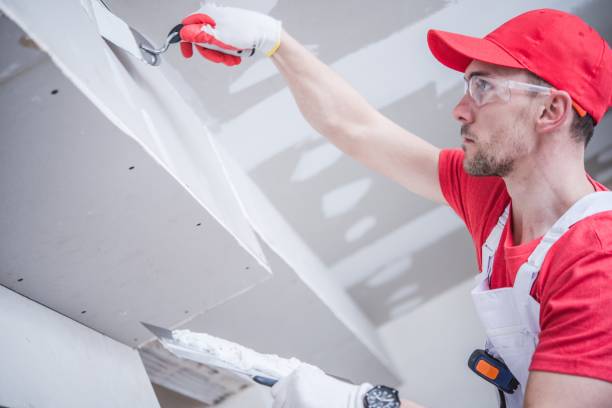  North Ogden, UT Mold Removal Pros